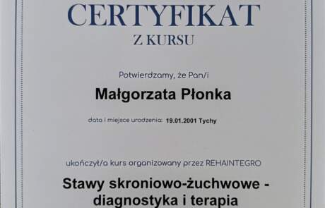 Terapia stawów skroniowo żuchwowych.